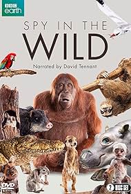 watch-Spy in the Wild (2017)