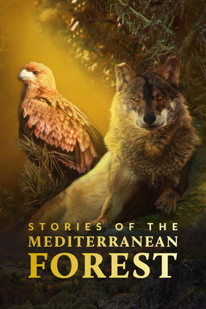 watch-Stories of the Mediterranean Forest (2018)