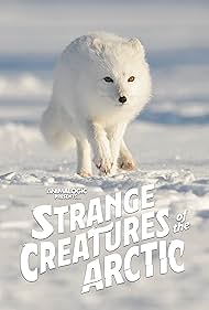 watch-Strange Creatures of the Arctic (2022)