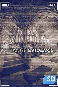 watch-Strange Evidence (2017)
