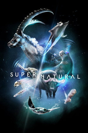 watch-Super/Natural (TV Series 2022) 2022