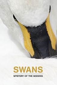 watch-Swans: Mystery of the Missing (2019)