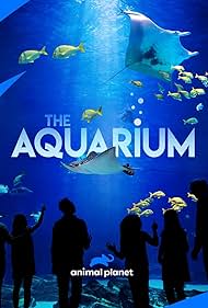 watch-The Aquarium (2019)