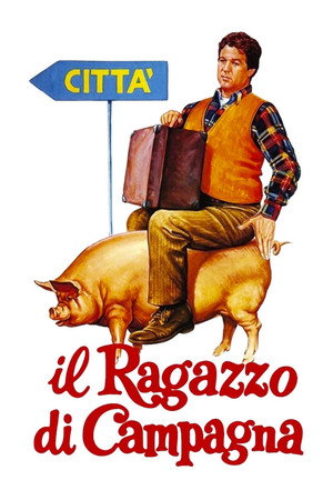 watch-The Country Boy (1984)