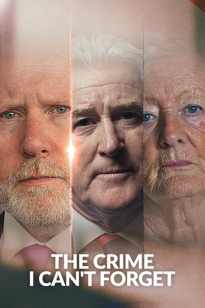 watch-The Crime I Can't Forget (TV Series 2023–2025) 2025
