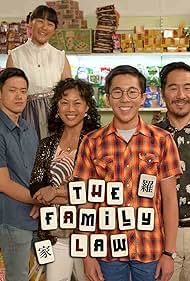 watch-The Family Law (2016)