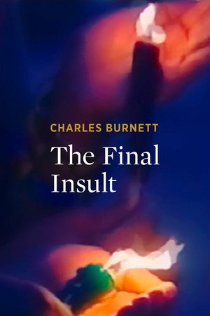 watch-The Final Insult (1997)