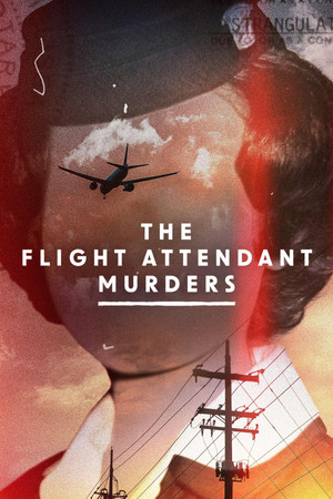 watch-The Flight Attendant Murders (TV Mini Series 2023) 2023
