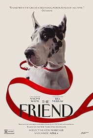 watch-The Friend (2025)