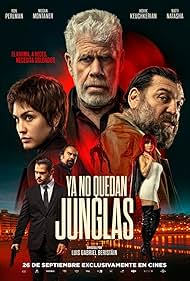 watch-The Gentleman (2025)