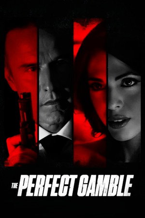 watch-The Perfect Gamble (2025)