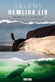 watch-The Secret Life of Seals (2022)