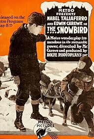 watch-The Snowbird (1916)