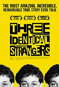 watch-Three Identical Strangers (2018)