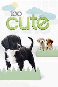 watch-Too Cute! (2011)