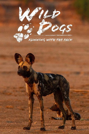 watch-Wild Dogs: Running with the Pack (TV Series 2022–2023) 2022