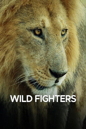 watch-Wild Fighters (TV Series 2021) 2021