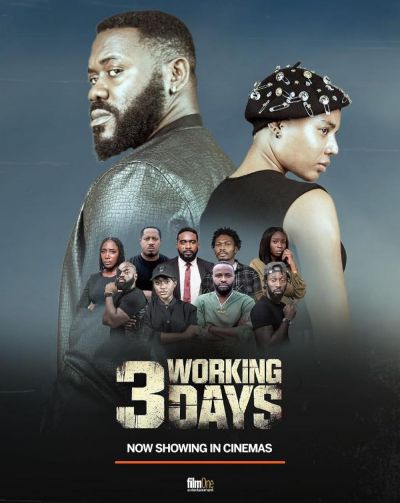 watch-3 Working Days (2024)