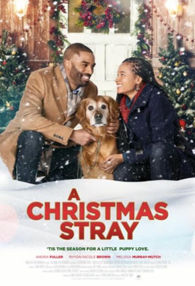 watch-A Christmas Stray (2021)