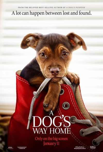 watch-A Dog's Way Home (2019)
