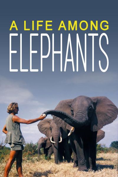 watch-A Life Among Elephants (2024)