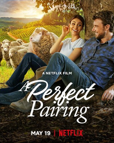 watch-A Perfect Pairing (2022)