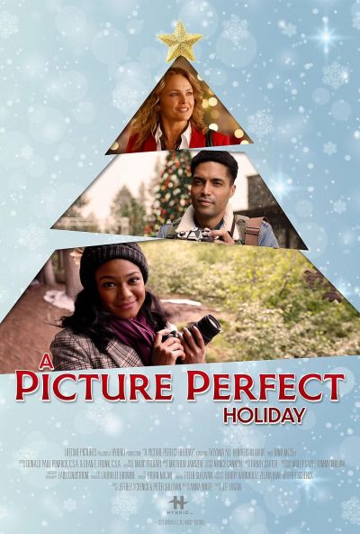 watch-A Picture Perfect Holiday (2021)