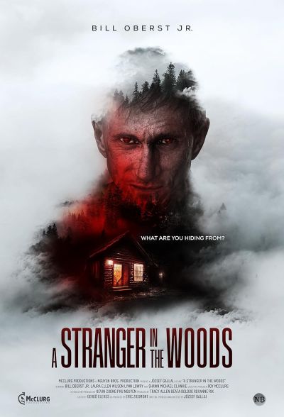 watch-A Stranger in the Woods (2024)