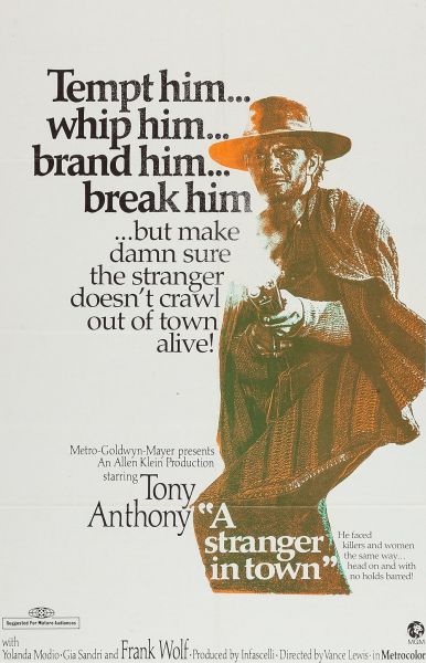 watch-A Stranger in Town (1967)