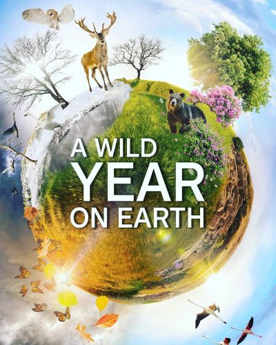 watch-A Wild Year on Earth (2021)