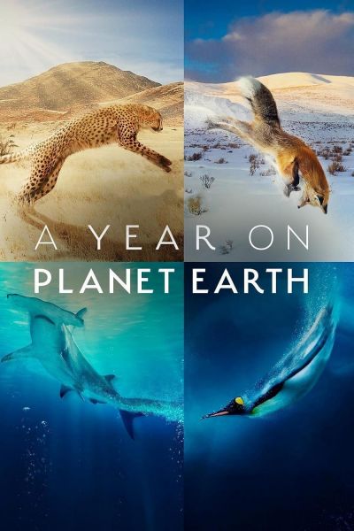 watch-A Year on Planet Earth (2022)