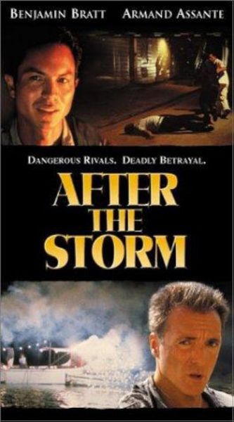 watch-After the Storm (2001)