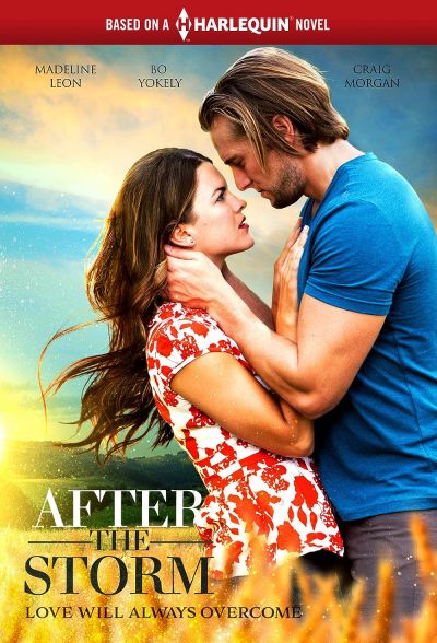 watch-After the Storm (2019)
