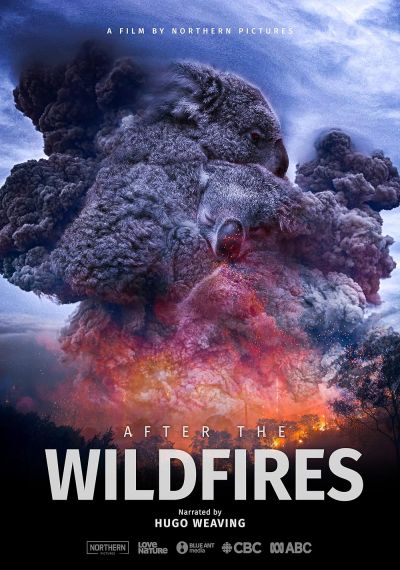 watch-After the Wildfires (2020)
