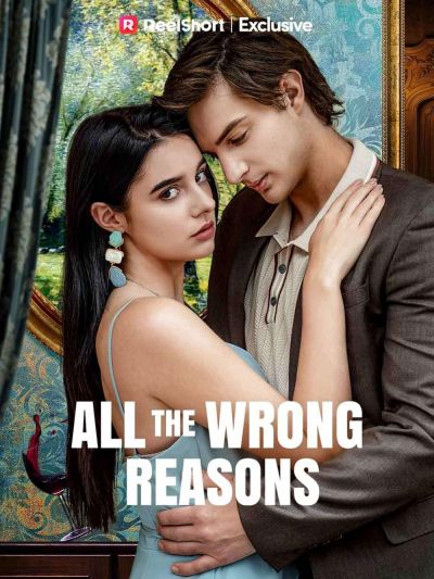 watch-All the Wrong Reasons (2024)