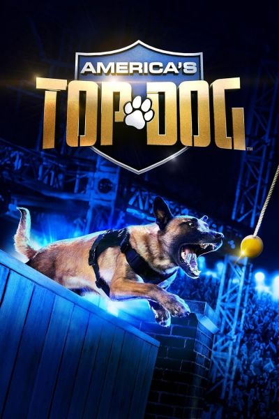 watch-America's Top Dog (2020)