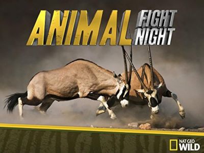watch-Animal Fight Night (2013)