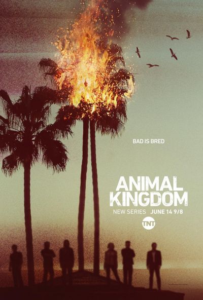 watch-Animal Kingdom (2016)