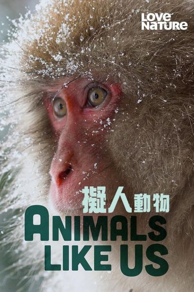 watch-Animals Like Us (2023) 2024