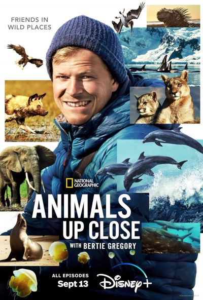 watch-Animals Up Close with Bertie Gregory (2023)