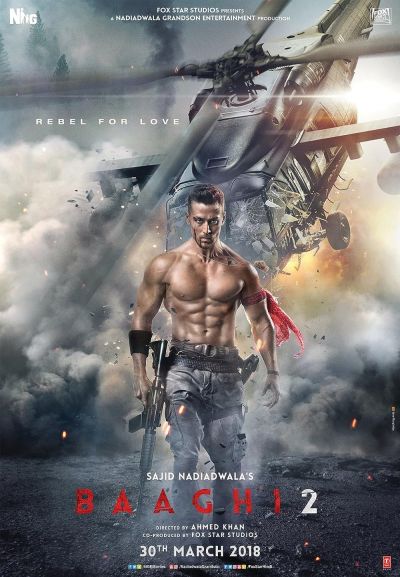 watch-Baaghi 2 (2018)