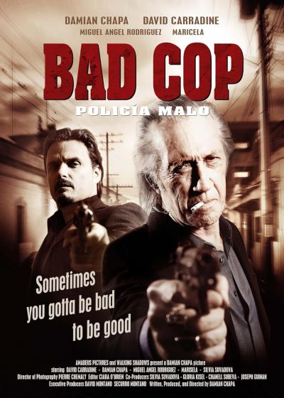 watch-Bad Cop (2009)