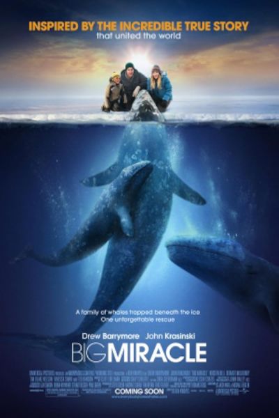 watch-Big Miracle (2012)