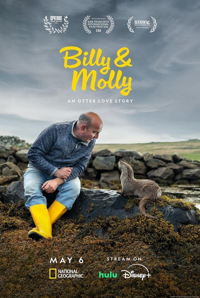 watch-Billy & Molly: An Otter Love Story (2024)