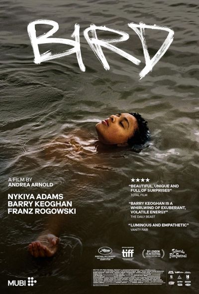 watch-Bird (2024)