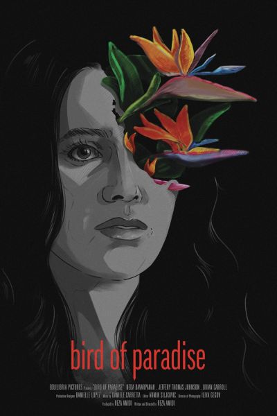 watch-Bird of Paradise (2023)