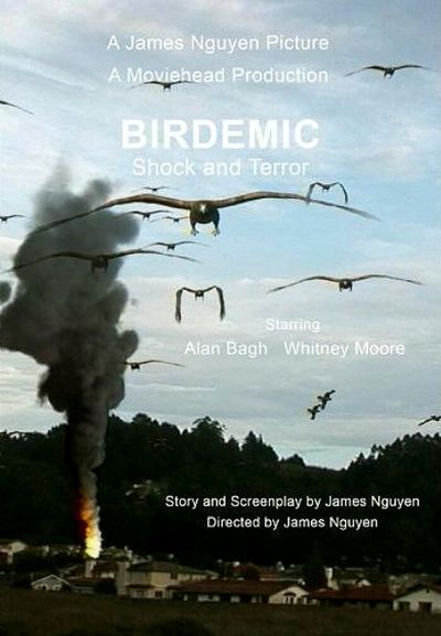 watch-Birdemic: Shock and Terror (2010)