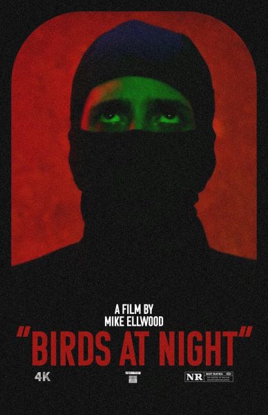 watch-Birds at Night (2024)