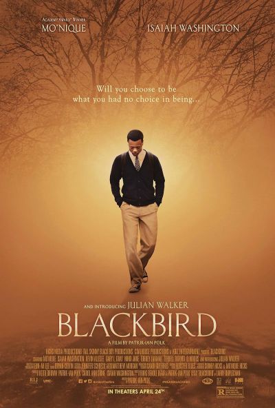 watch-Blackbird (2015)