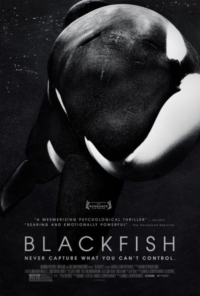 watch-Blackfish (2013)